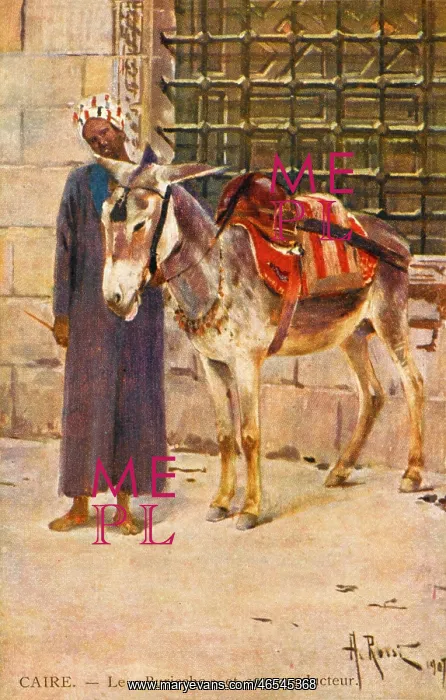  : Donkey and his owner - Cairo, Egypt