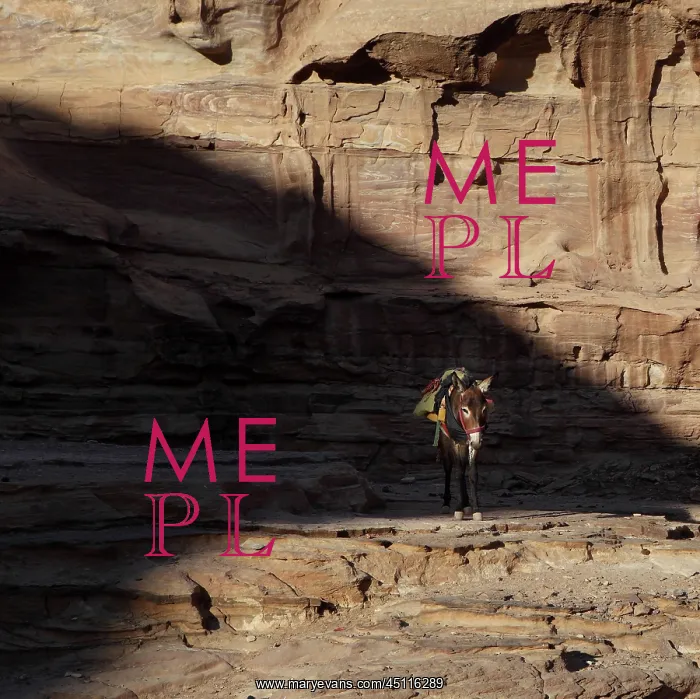 : Donkey, Petra, Jordan : Donkey, Petra, Jordan