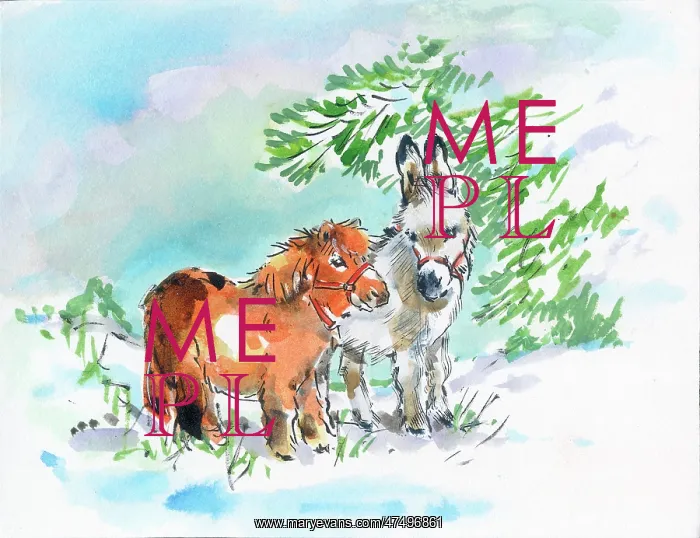 : Donkey and pony in the snow : Donkey and pony in the snow
