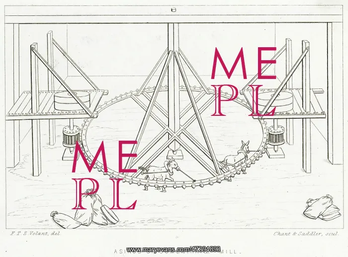 : DONKEY-POWERED MILL : DONKEY-POWERED MILL
