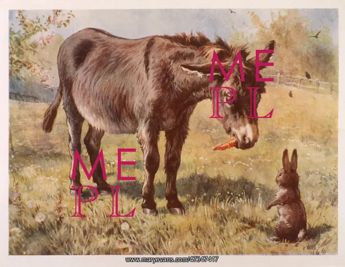  : DONKEY & RABBIT 1890S