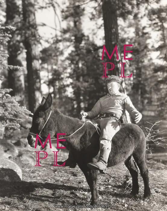  : Donkey ride