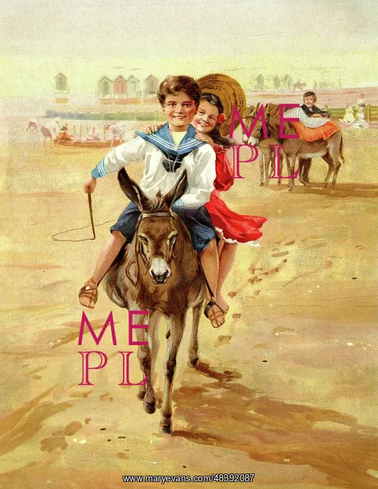  : A Donkey Ride on the Beach