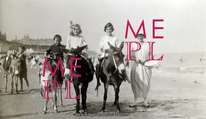 : Donkey ride on the beach : Donkey ride on the beach