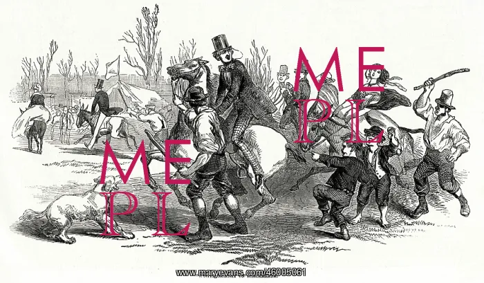 : Donkey Rides on Blackheath, London, Easter Monday 1847 : Donkey Rides on Blackheath, London, Easter Monday 1847