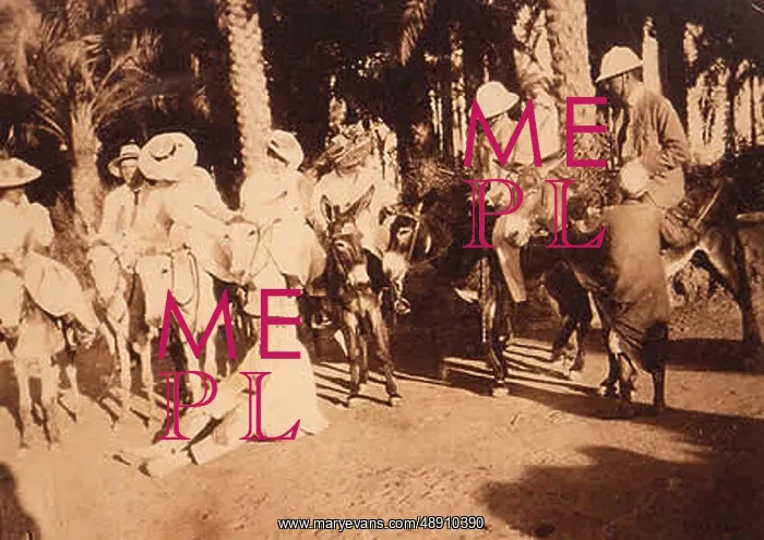 : Donkey rides - Thomas Cook Tour in Egypt : Donkey rides - Thomas Cook Tour in Egypt