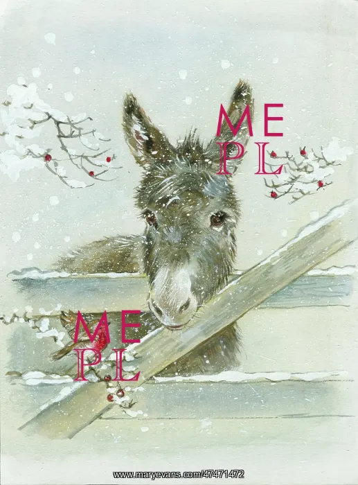 : Donkey & robin by Diane Matthes : Donkey & robin by Diane Matthes