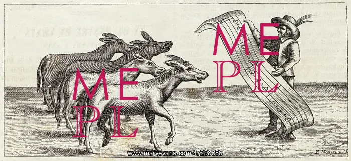 : Donkey Serenade : Donkey Serenade