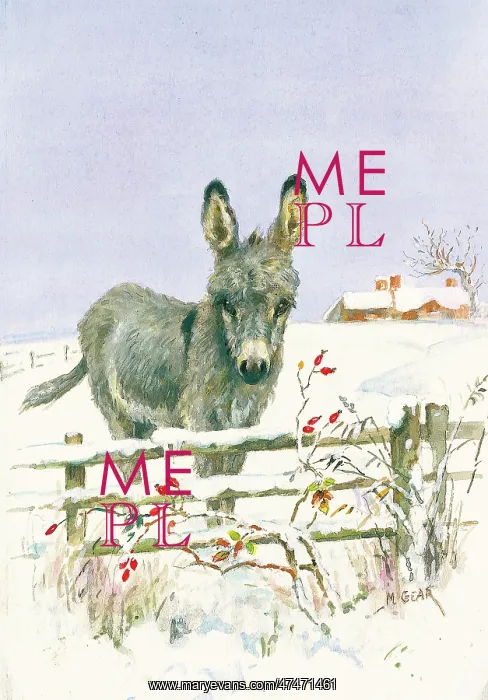 : Donkey in a snowy paddock by Mabel Gear : Donkey in a snowy paddock by Mabel Gear