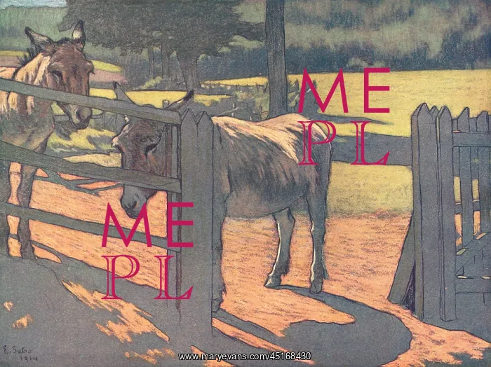 : Donkeys. A painting of a pair of donkeys standing behind a fence : Donkeys. A painting of a pair of donkeys standing behind a fence