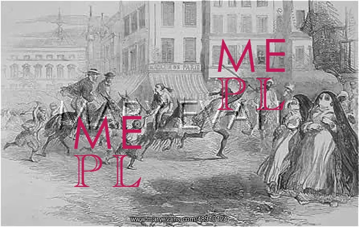 : DONKEYS IN ALEXANDRIA : DONKEYS IN ALEXANDRIA