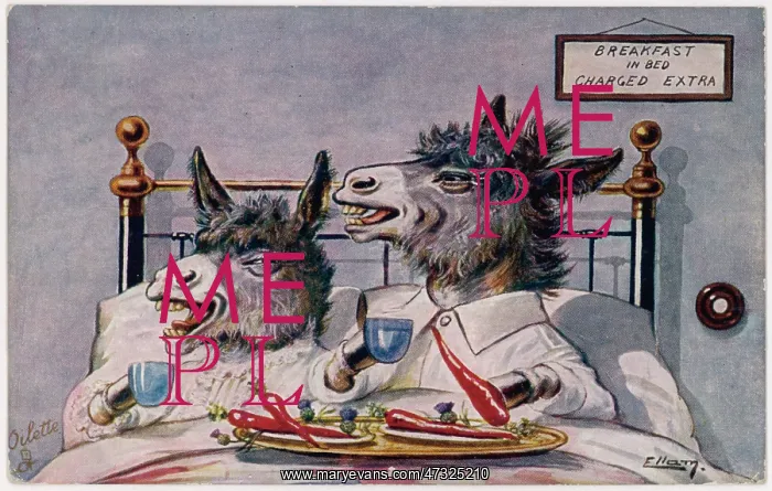 : DONKEYS BREAKFAST IN BED : DONKEYS BREAKFAST IN BED