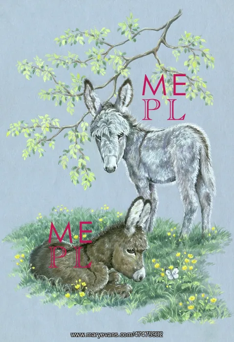  : Two Donkeys with butterfly and buttercups