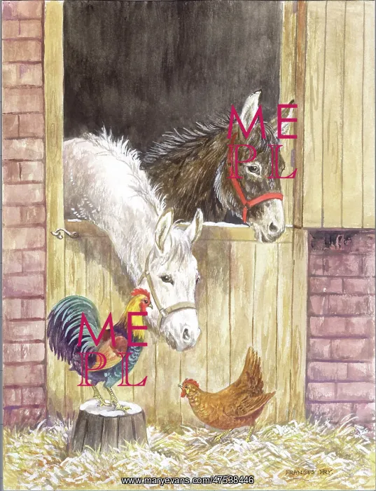 : Donkeys and chickens at stable door : Donkeys and chickens at stable door