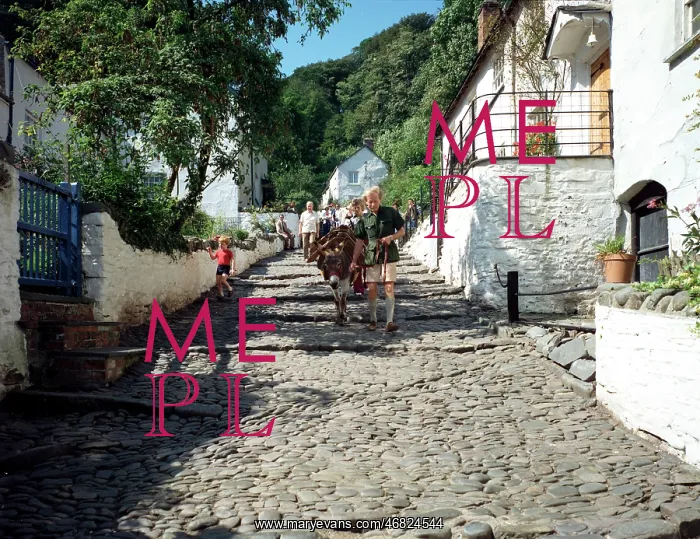 : Donkeys, Clovelly : Donkeys, Clovelly