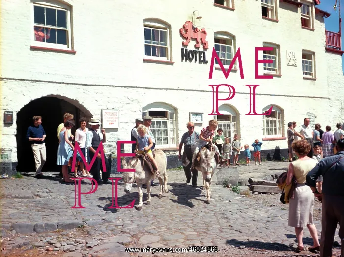 : Donkeys, Clovelly : Donkeys, Clovelly