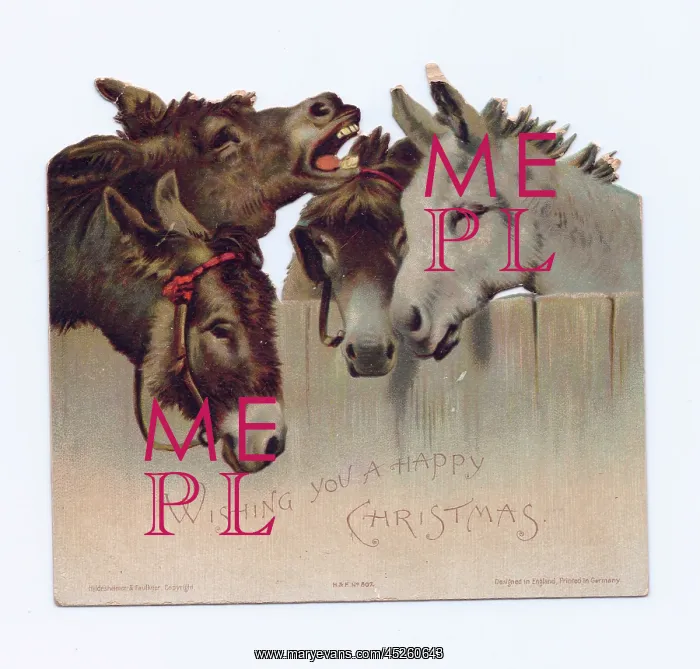 : Four donkeys on a cutout Christmas card : Four donkeys on a cutout Christmas card