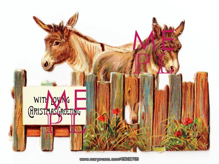  : Two donkeys on a cutout Christmas card