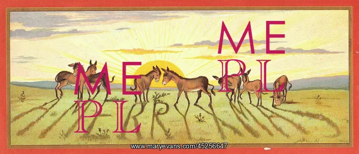 : Donkeys in a field on a Christmas card : Donkeys in a field on a Christmas card