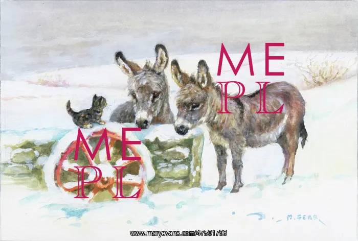: Two donkeys looking at kitten on old cartwheel : Two donkeys looking at kitten on old cartwheel