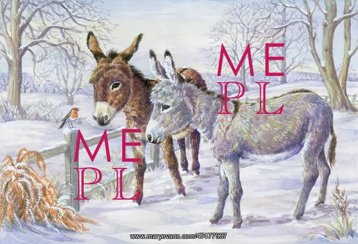 : Two Donkeys and Robin on a fence in snow : Two Donkeys and Robin on a fence in snow