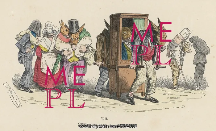 : DONKEYS AND SEDAN CHAIR : DONKEYS AND SEDAN CHAIR
