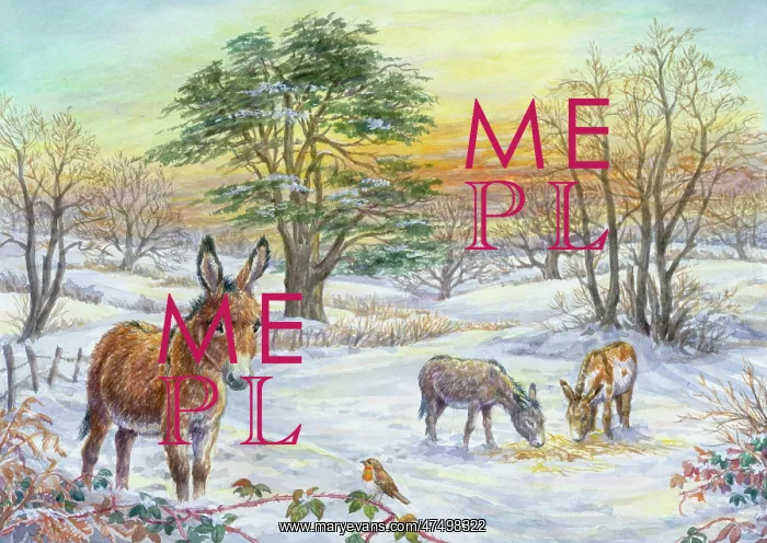 : Donkeys in snowy landscape with sunset : Donkeys in snowy landscape with sunset