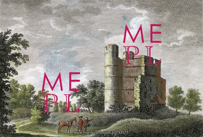  : DONNINGTON CASTLE 1783