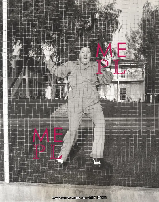 : Don't fence me in : Don't fence me in