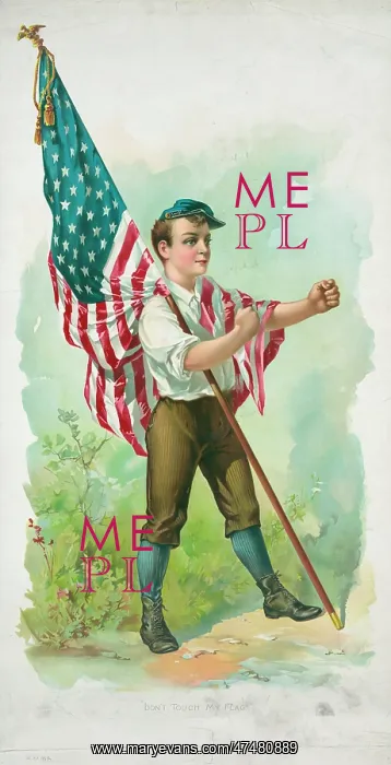 : Don't touch my flag! : Don't touch my flag!