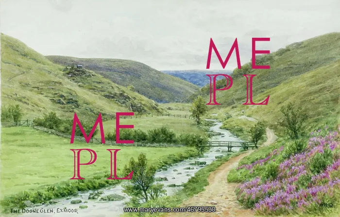 : Doone Glen, Exmoor, Somerset : Doone Glen, Exmoor, Somerset