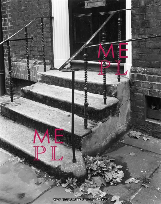 : FRONT DOOR STEPS : FRONT DOOR STEPS