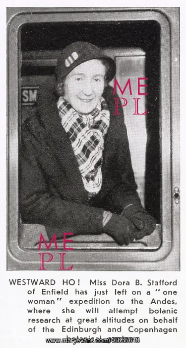 : Dora Stafford : Dora Stafford