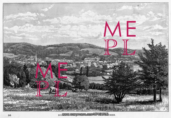  : DORKING. Distant view of Dorking, Surrey