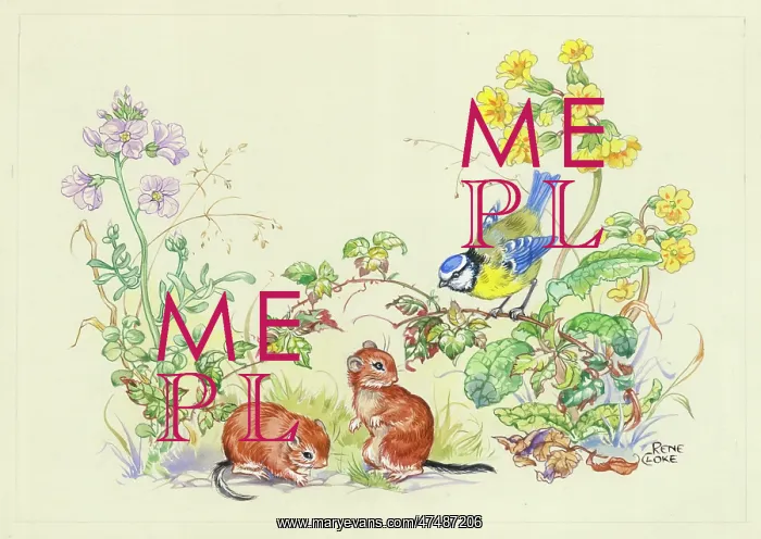 : Two dormice with blue tit and wild flowers - cowslips, bramb : Two dormice with blue tit and wild flowers - cowslips, bramb