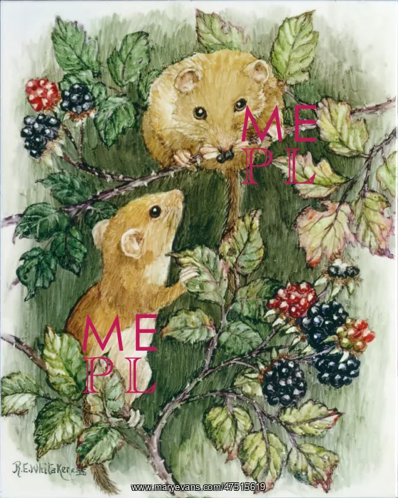  : Two Dormice on Brambles