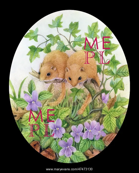  : Two Dormice with Violets