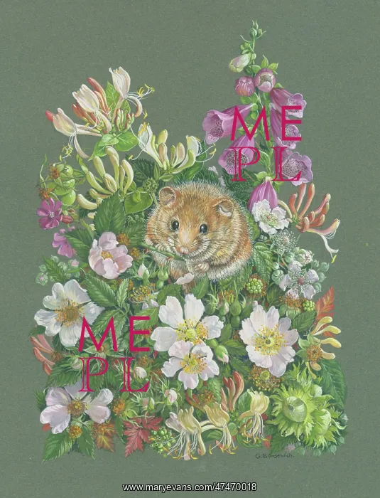  : Dormouse in Spring Hedgerow