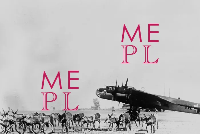: Dornier Do 17, 1941 : Dornier Do 17, 1941