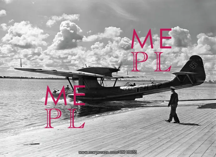 : Dornier Do 18 flying boat, 1940 : Dornier Do 18 flying boat, 1940