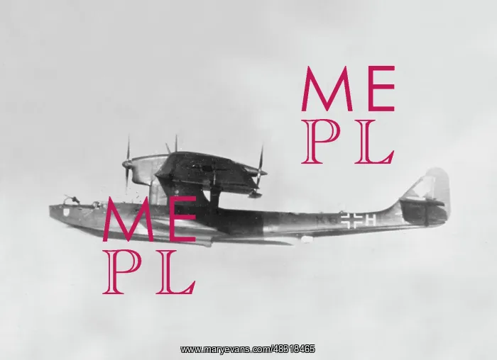 : Dornier Do 18 flying boat, 1940 : Dornier Do 18 flying boat, 1940