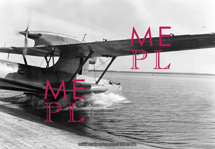 : Dornier Do 18 flying boat, 1940 : Dornier Do 18 flying boat, 1940