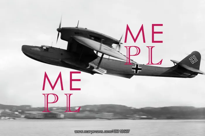 : Dornier Do 18 flying boat, 1940 : Dornier Do 18 flying boat, 1940