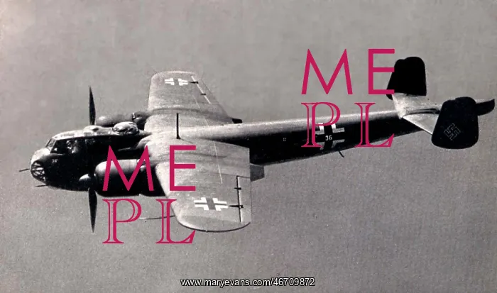 : Dornier Do 217E -among the most effective of the Luftwa : Dornier Do 217E -among the most effective of the Luftwa