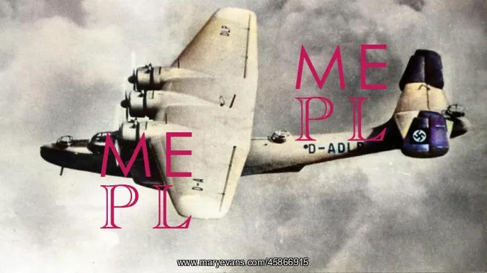 : Dornier Do 24 -originally designed for the export marke? : Dornier Do 24 -originally designed for the export marke?