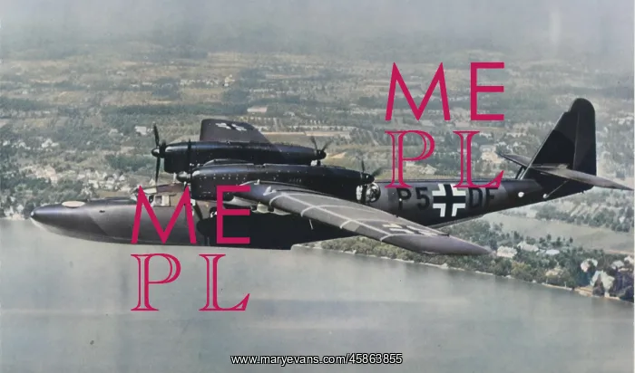 : Dornier Do 26C -built as long range mailplanes for Luft? : Dornier Do 26C -built as long range mailplanes for Luft?