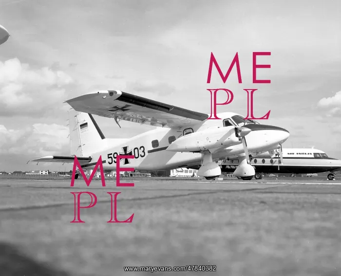: Dornier Do 28D Skyservant 59+03 : Dornier Do 28D Skyservant 59+03