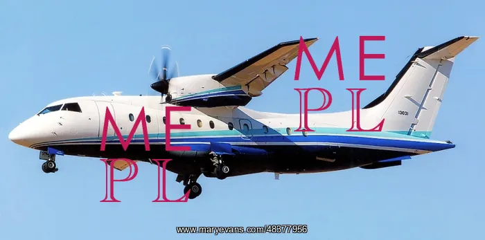 : Dornier C-146A Wolfhound 11-3013 : Dornier C-146A Wolfhound 11-3013