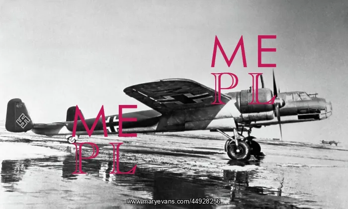 : Dornier Do-17P-1 : Dornier Do-17P-1