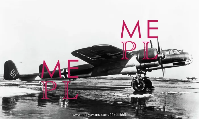 : Dornier Do-17P-1 : Dornier Do-17P-1